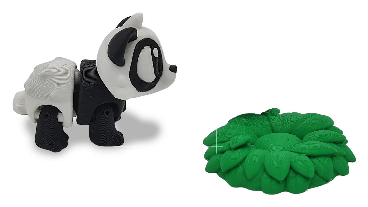 Bao con su marco de medidas